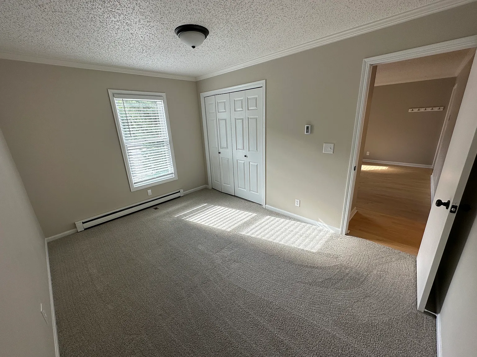 308 Illinois Gulch Rd — Photo 3