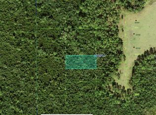 N/a Polk City Fl Lot 29, Polk City, FL 33868