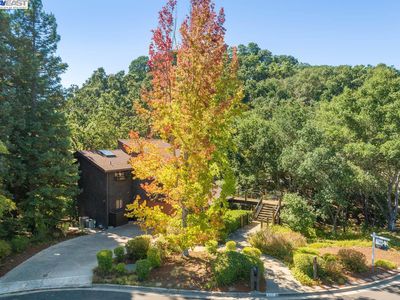 2371 Hagen Oaks Dr, Alamo, CA, 94507
