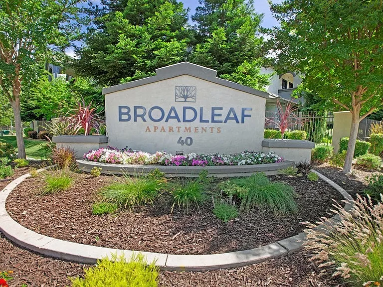 Broadleaf Apartments — Photo 94