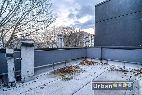 Rented by Urban Pads | media 41