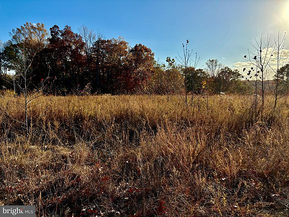 3rd image of 6290 Cool Springs Farm Ct