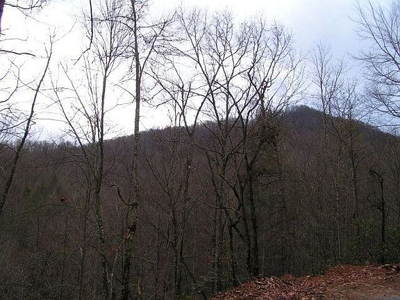 3rd image of 0 Golden Falls Dr
