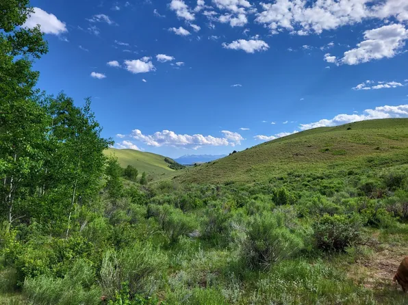 Tbd Horn Rd, Westcliffe, CO 81252