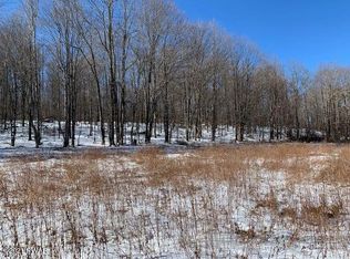 127 Forks Bridge Rd, Newfoundland, PA 18445