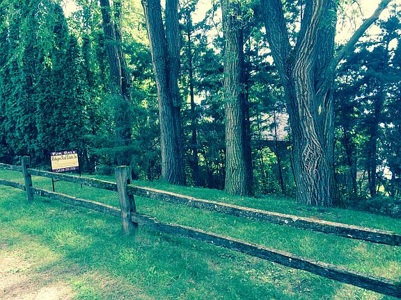 Just behind row of trees...