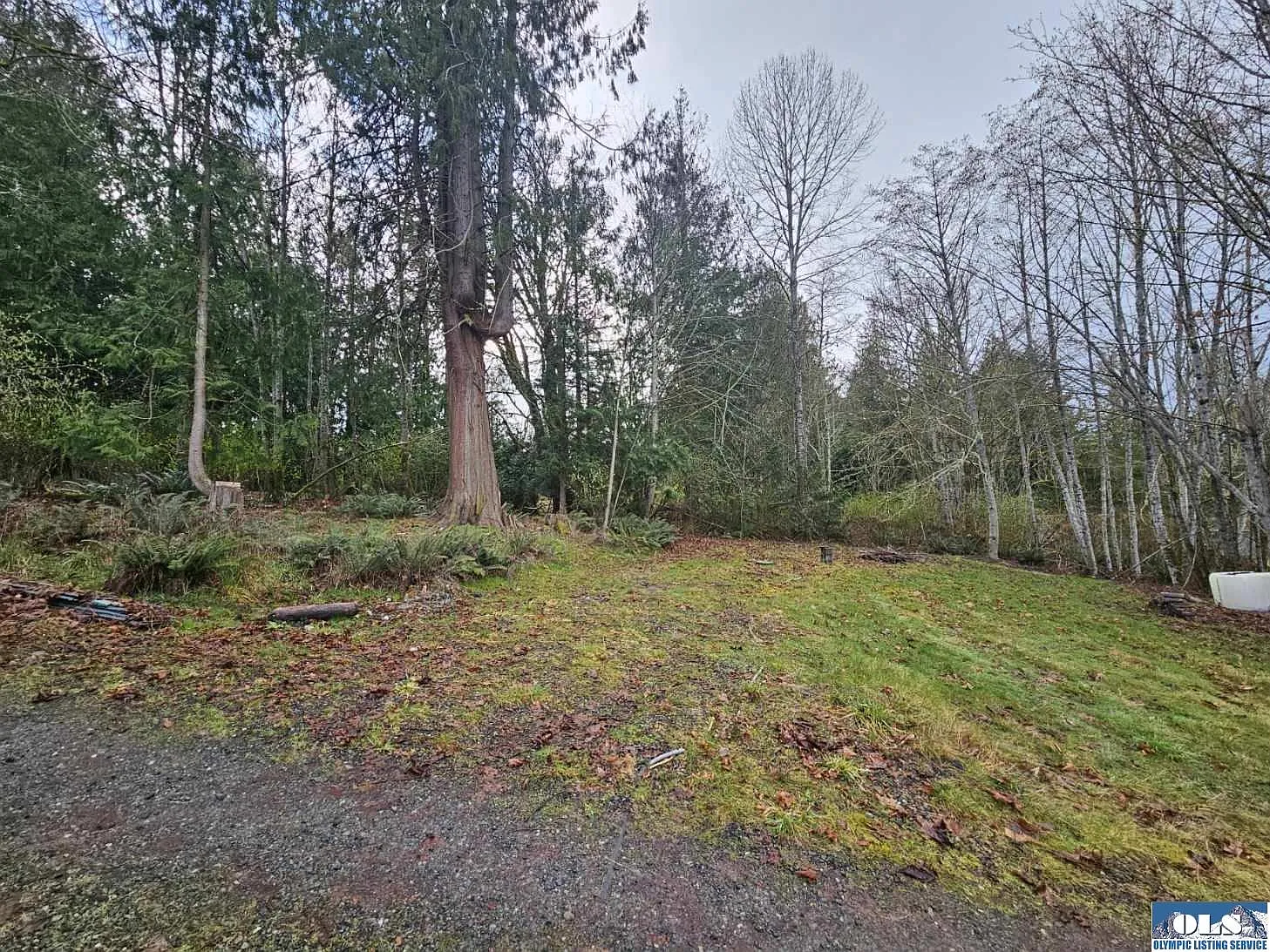 467 Freshwater Park photo 1