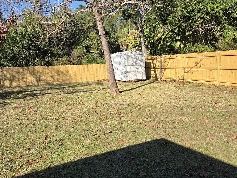 Backyard