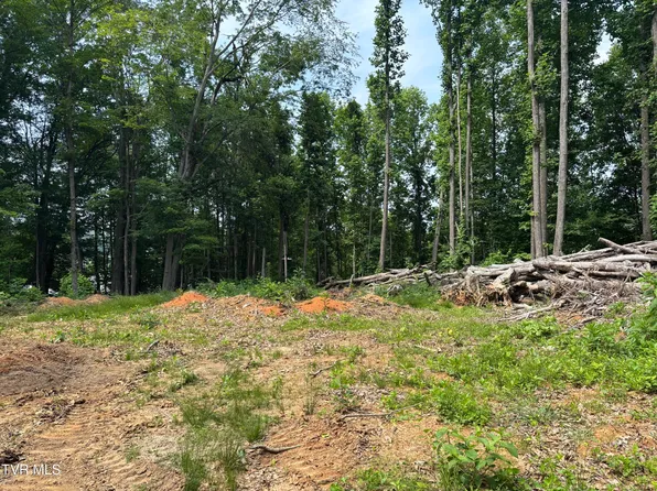 Buffalo Rd, Johnson City, TN 37604