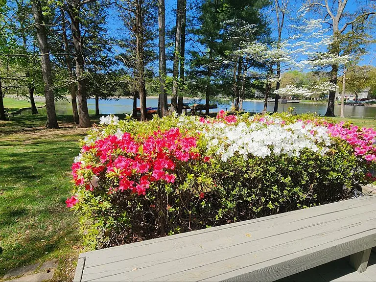 12423 New Point Dr — Photo 18