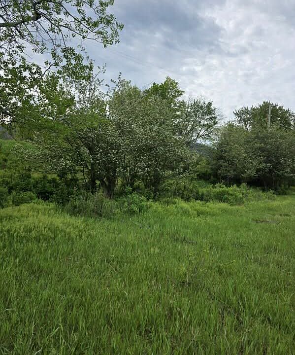 1st image of Nhn Stitt Ln Parcel A