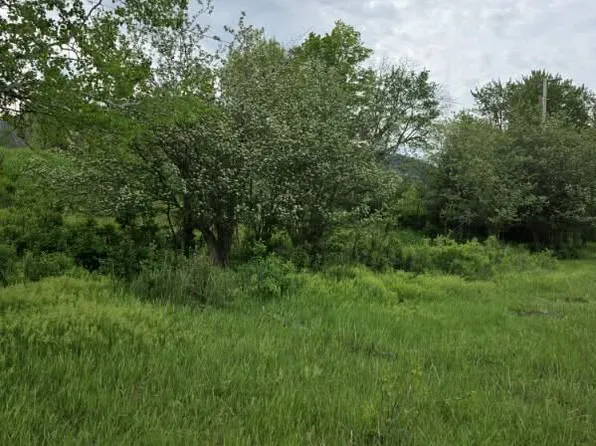 Nhn Stitt Ln Parcel A, Clinton, MT 59825