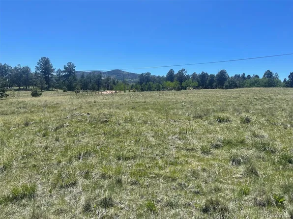 335 Castle Mountain Drive, Florissant, CO 80816