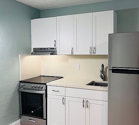 Fully renovated kitchen