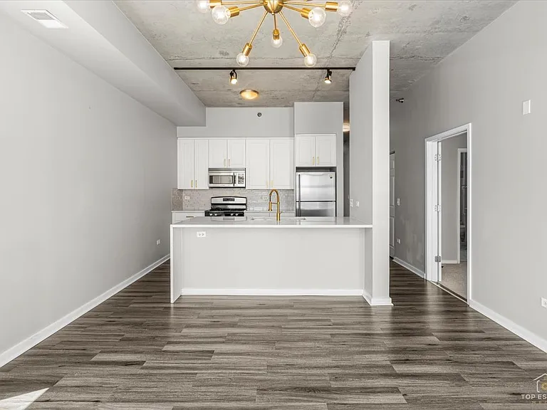 1620 S Michigan Ave #414 — Photo 4