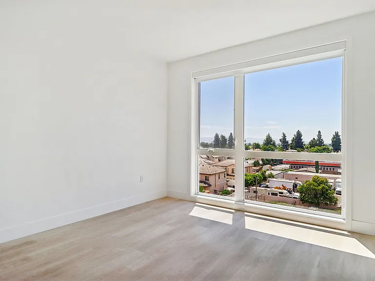 Begonia Place Luxury Apartments — Photo 14