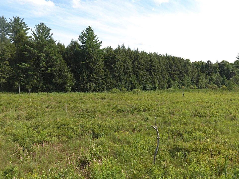 Lot 1 Wilkins Road UNIT 1, Cambridge, VT 05444 MLS 4875935 Zillow