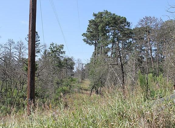 2nd image of 269 Long Trl