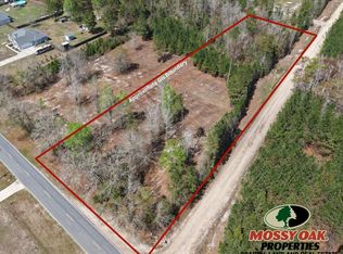 0 Clarks Bluff Rd, Kingsland, GA 31548