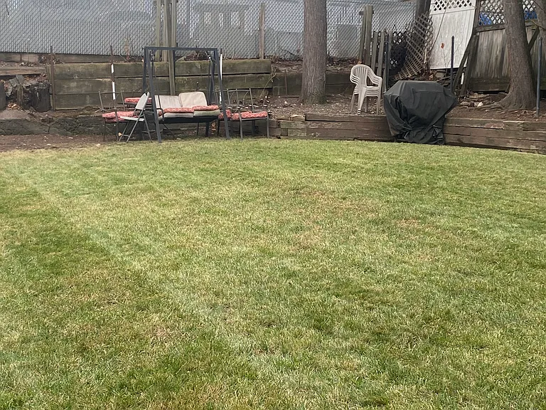 well groomed backyard