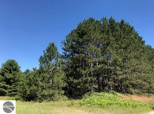 1221 N 41 1/2 Rd, Manton, MI 49663