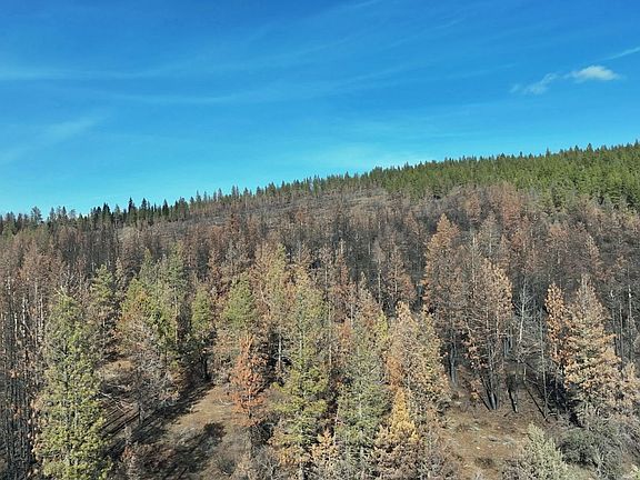 2nd image of Hummingbird Dr