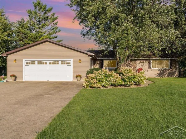 1599 S Reese Rd, Reese, MI 48757