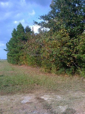 2nd image of 7552 Hwy 59 N