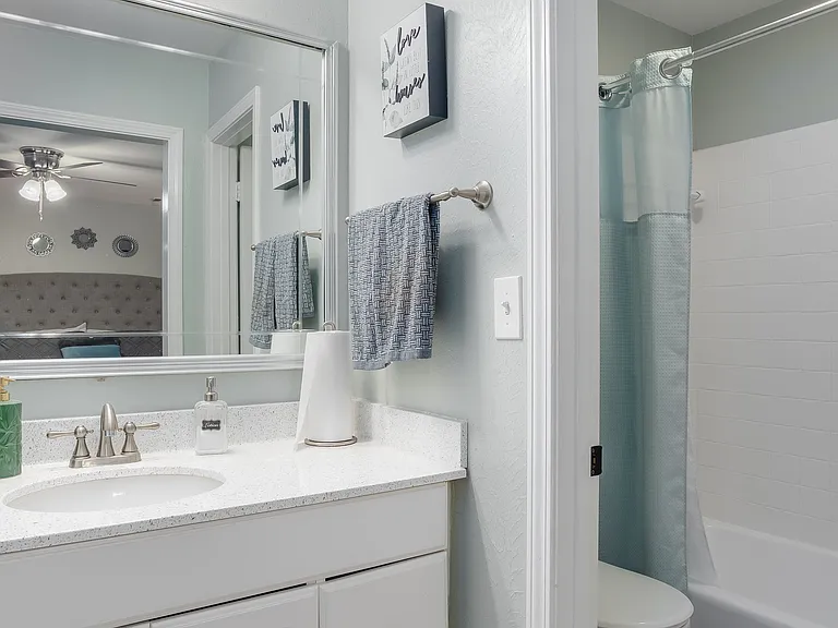 Primary bathroom with adjustable hand held shower sprayer
