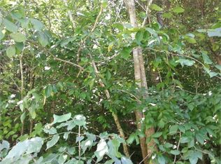 Lamplighter Way, Newport, TN 37821