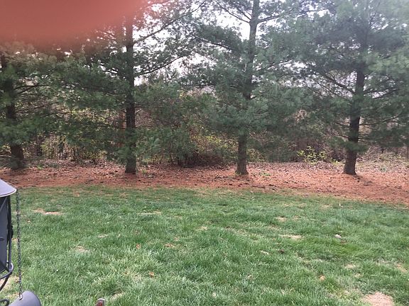 Rear patio overlooks towering pines