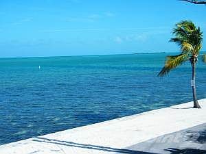 OPEN WATER VIEW FOREVER