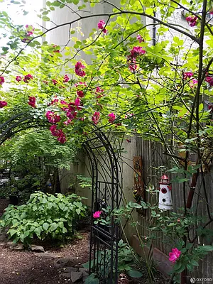 Rented by Think Properties | media 8