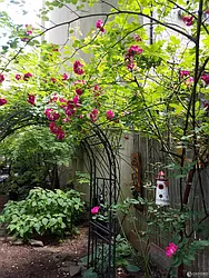 Rented by Think Properties