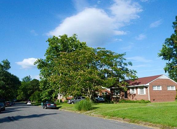 3rd image of 403 W Ash Ave
