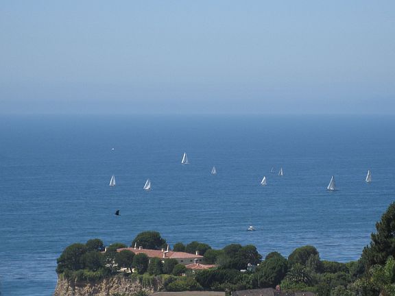View of sailboats
