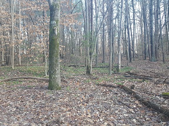3rd image of 1258 Flora Dr