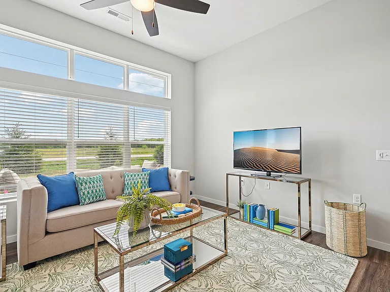 1 Bedroom | Living Room