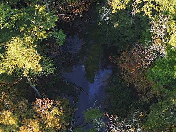 5th image of 0 Robinson Rd