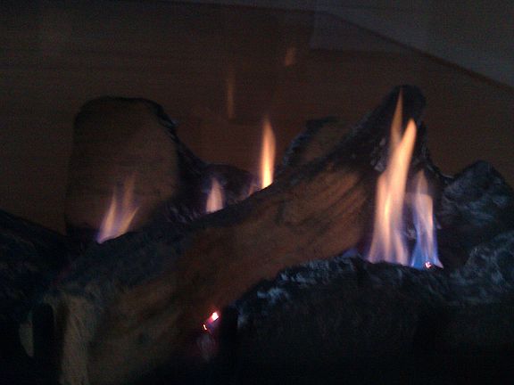 Gas Fire Logs