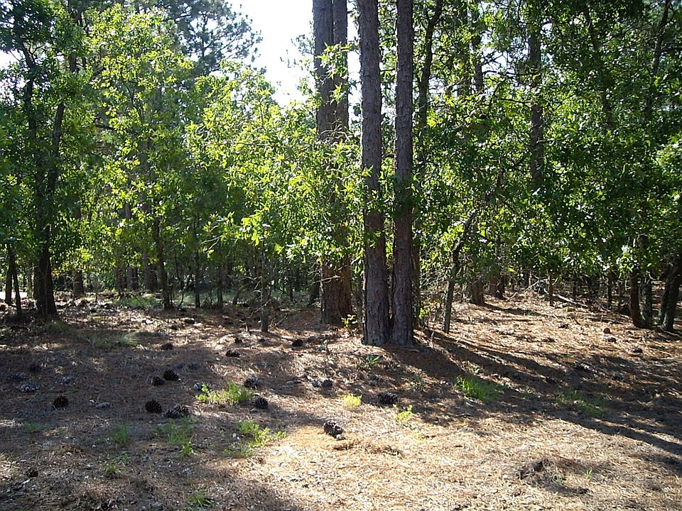 2nd image of 107 Rector Dr