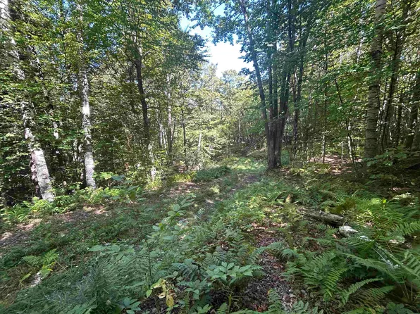 0 West Hill Road, Jamaica, VT 05343