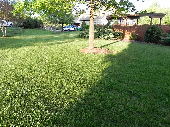 Side lawn behind pergola