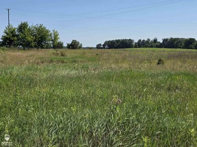 Garrison Rd, Laingsburg, MI, 48848