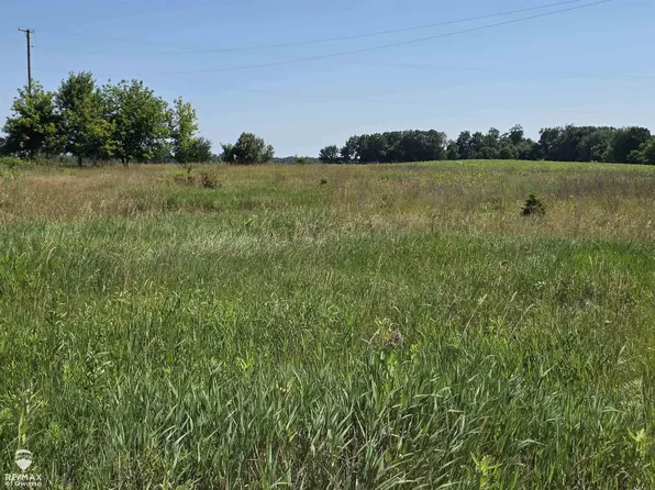 Garrison Rd, Laingsburg, MI 48848