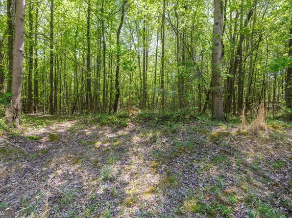 230 Dyer Rd Tract 2, Gillsville, GA 30543