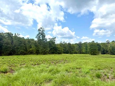 23777 Babbie Rd, Andalusia, AL, 36421