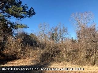 2nd image of 0 Hernando Rd