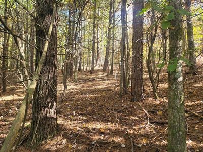 9100 Highway 294, Murphy, NC, 28906