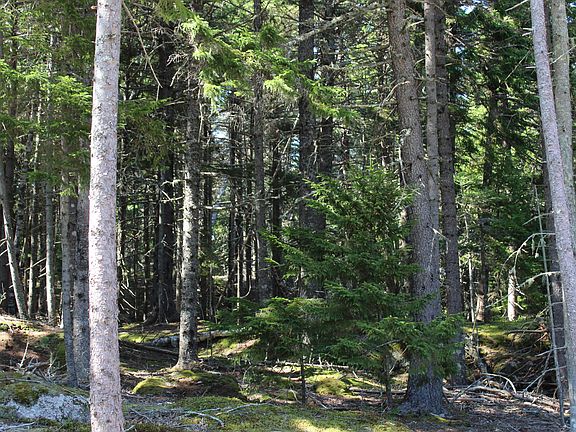 2nd image of 22 Warren Point Drive Lot 10